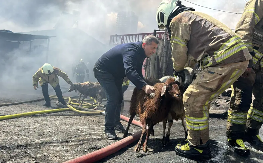 ALEVLER PATLAMALARLA BÜYÜDÜ 3 ALEVLER PATLAMALARLA BÜYÜDÜ 3