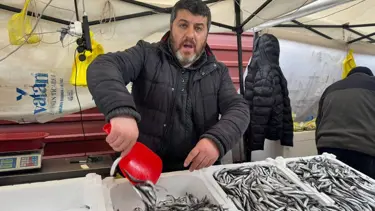 Tezgahlarda hamsi bolluğu, fiyatı yine düşüşe geçti: Vatandaşımız ucuzken alsın