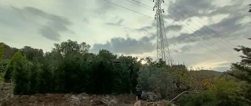 Bodrum’da kaçak inşaata ağaç dallarıyla kamuflaj 3 Bodrum’da kaçak inşaata ağaç dallarıyla kamuflaj 3