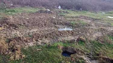 10 köpeği canlı canlı gömen belediyeye para cezası!