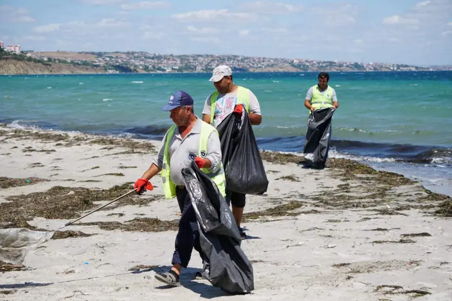 Tekirdağ'ın tatil beldesinde 500 ton çöp toplandı 7 Tekirdağ'ın tatil beldesinde 500 ton çöp toplandı 7