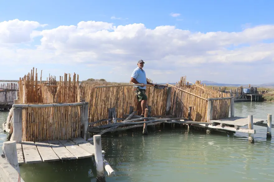 Adana'daki dalyanlardan avlanıyor: Besin değeri çok yüksek, sofralarda yerini alıyor 5