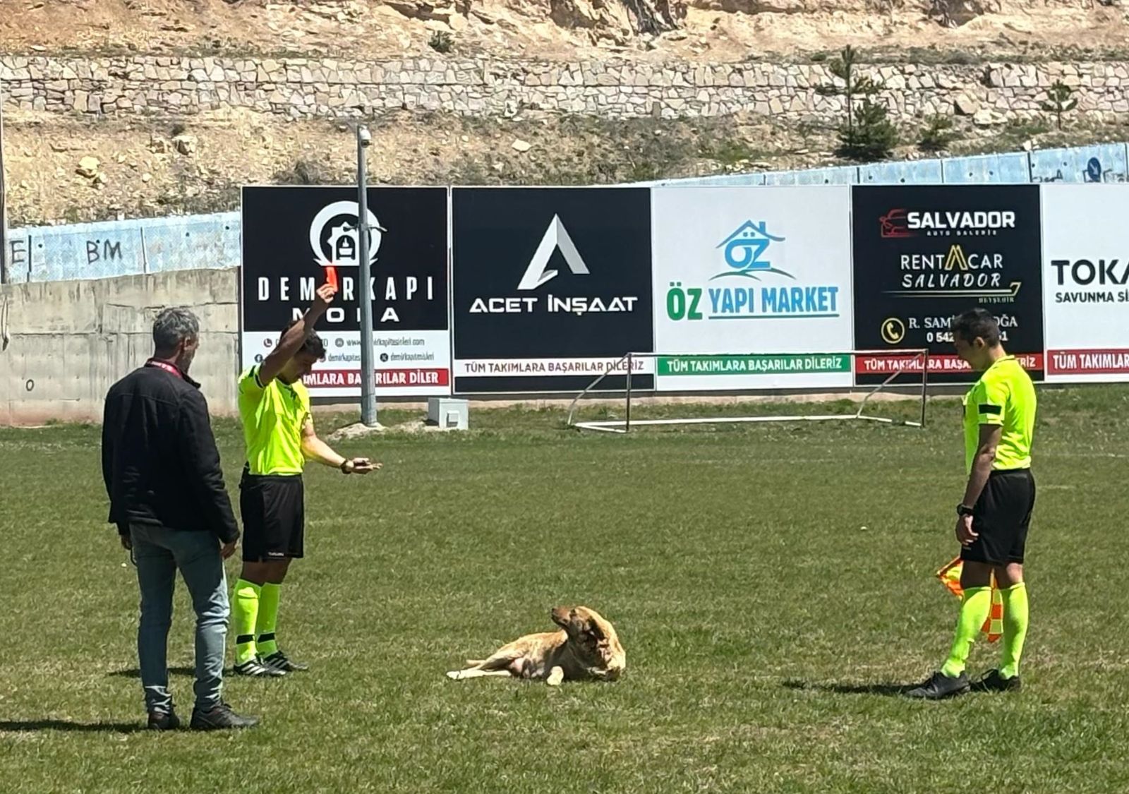 Sahaya giren köpeği kırmızı kartla dışarı çıkardı