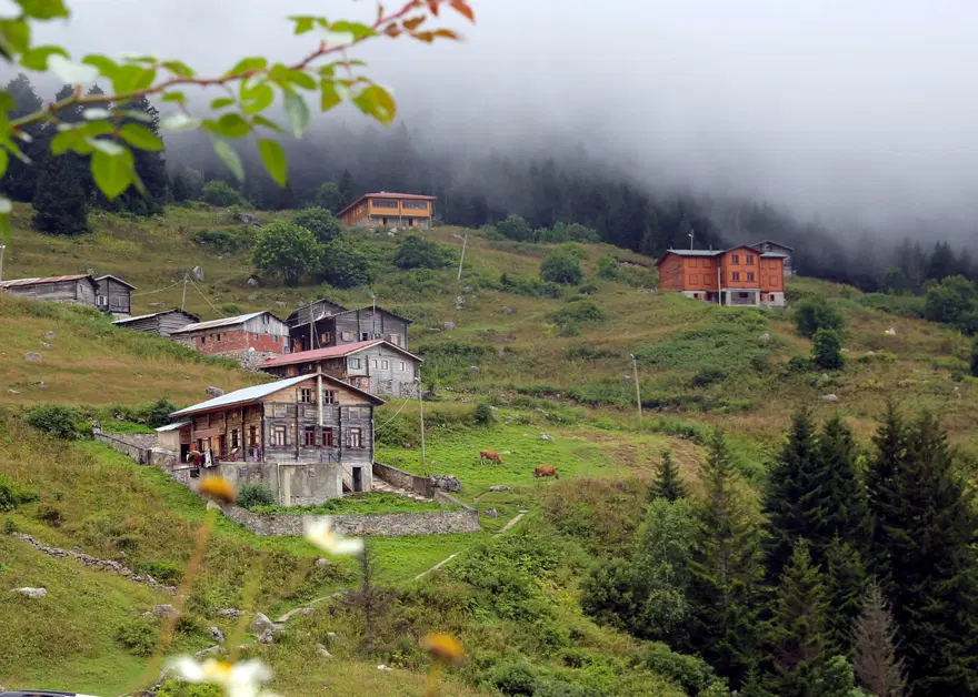elevit yaylası, doğu karadeniz yaylaları, rize yaylaları, en güzel yaylalar 4