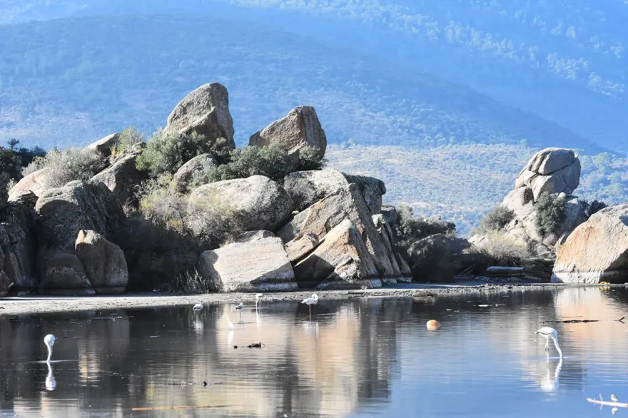 Bafa Gölü 261 kuş türüne ev sahipliği yapıyor 10