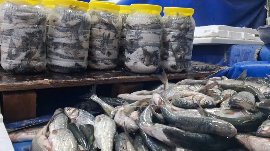 Tezgahlar şenlendi: Fiyatı uygun, ilgi ve talep arttı 1 Tezgahlar şenlendi: Fiyatı uygun, ilgi ve talep arttı 1