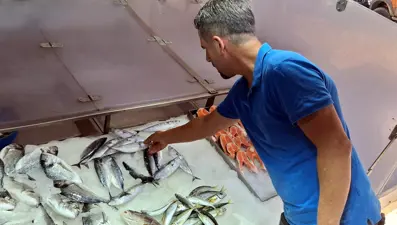 Palamutun tanesi tezgahta 350 lira