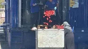 Domatesleri kasa kasa çöpe attılar: Ticaret Bakanlığı harekete geçti