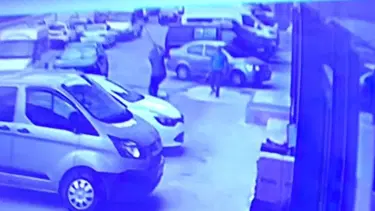 Artvin'de sokak köpeğine kürekli saldırıya tepki