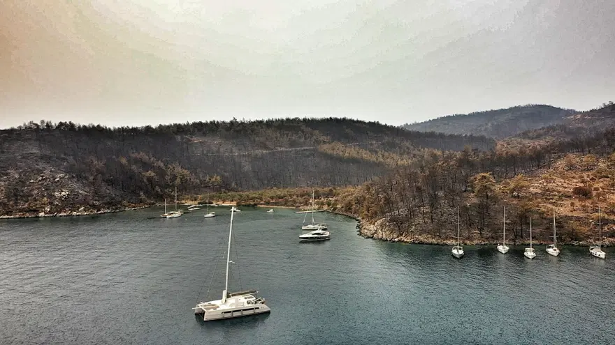 Bodrum ve Milas'ta yanan alanlar havadan görüntülendi 11 Bodrum ve Milas'ta yanan alanlar havadan görüntülendi 11