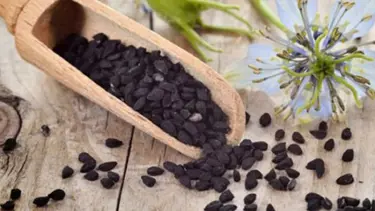 Çörek otunun faydaları nelerdir? Çörek otu nasıl tüketilir, nelere iyi gelir?