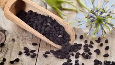 Çörek otunun faydaları nelerdir? Çörek otu nasıl tüketilir, nelere iyi gelir?