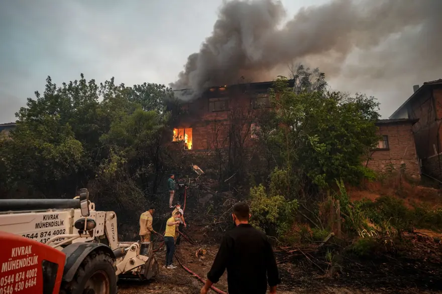 BİLECİK'TEKİ ORMAN YANGININDA SON DURUM 8