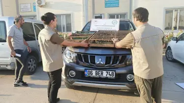 Sınır kapısında Suriye'ye götürülmek istenen 222 saka kuşu ele geçirildi