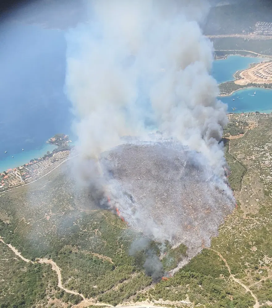 İzmir'de orman yangını: İki ev zarar gördü 5