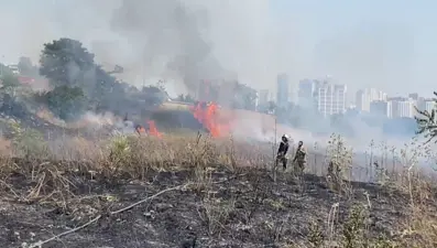 İstanbul'da TEM'i kapatan yangın: Ankara yönünde trafik durdu
