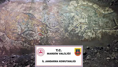 1500 yıllık mozaik, kaçakçılara satılmadan ele geçirildi