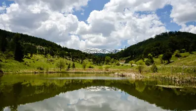 Murat Dağı ilkbahar renklerine büründü