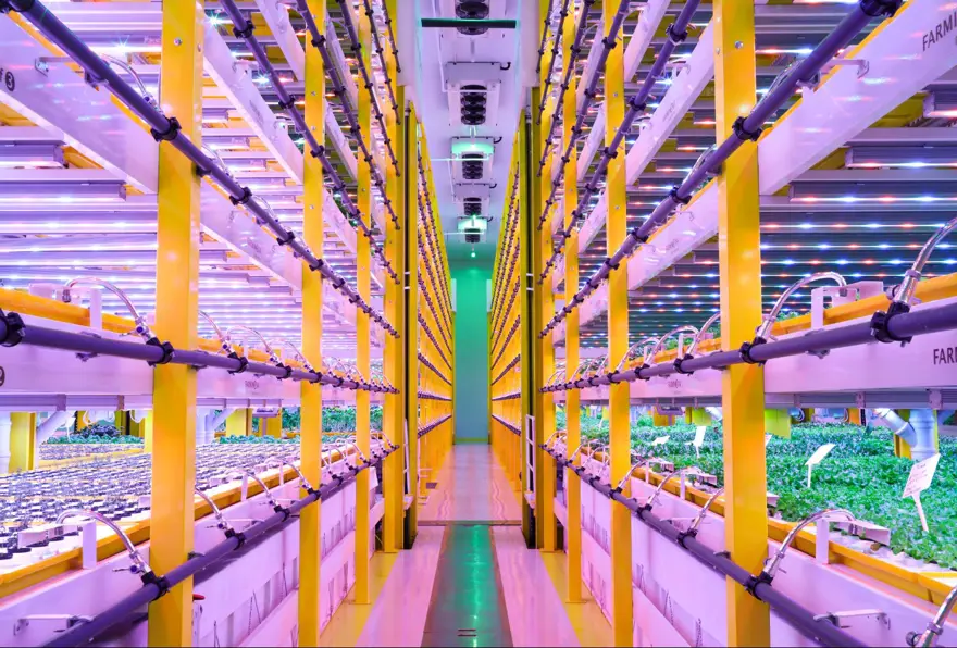 Yangında küle dönen Türkiye'nin ilk bitki fabrikası, 7 ayda yeniden inşa edildi 11