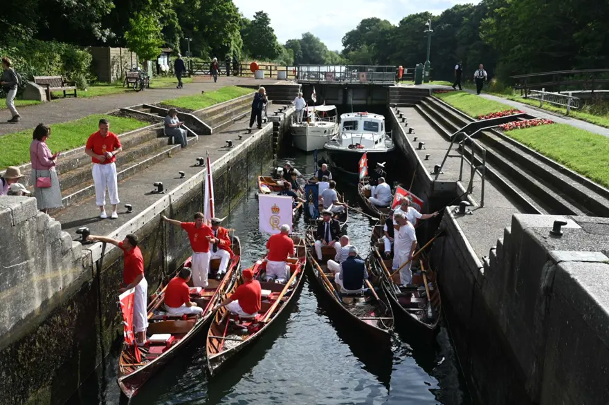 İngiltere'nin 838 yıllık geleneği: Kuğu nüfus sayımı 9