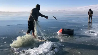 Buz tutan Çıldır Gölü'nde Eskimo usulü balık avı