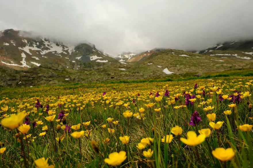 Gümüşhane'nin Artabel Gölleri'nden nefes kesen manzaralar: Osmanlı-Rus Harbi'nden kalma tarihi kalıntılar da var 6