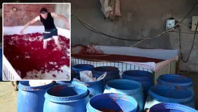 Çıplak ayakla salça havuzuna girilen işletmenin faaliyeti durduruldu, salçalar imha edildi