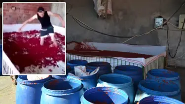 Çıplak ayakla salça havuzuna girilen işletmenin faaliyeti durduruldu, salçalar imha edildi