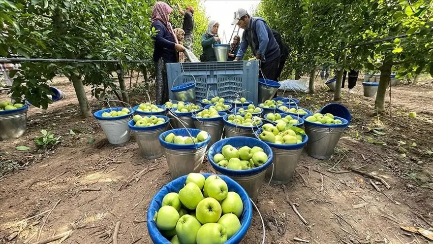 "KALİTE GEÇEN YILA GÖRE DAHA İYİ" 6