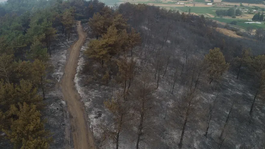Çanakkale'de yangının boyutu gün ağarınca ortaya çıktı Çanakkale'de yangının boyutu gün ağarınca ortaya çıktı