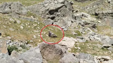Keşfe çıkan restorasyon ekibi kaza yaptı: Beş ölü
