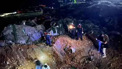 Ankara'da köpek cesetleri bulundu: Hayvanseverler tepkili