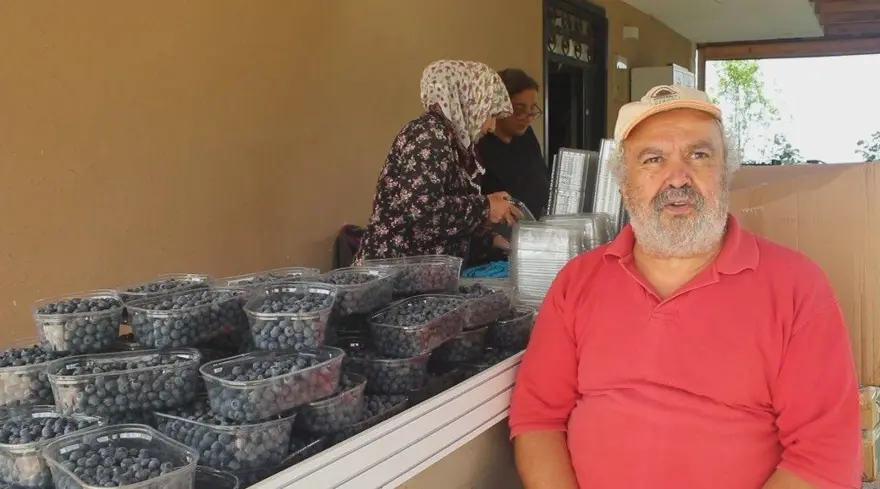 Halk arasında "mavi yemiş" olarak bilinen süper meyve, kilosu 300 TL! Altın gibi tartılarak satılıyor, 7 hastalığın şifası ondaymış 11
