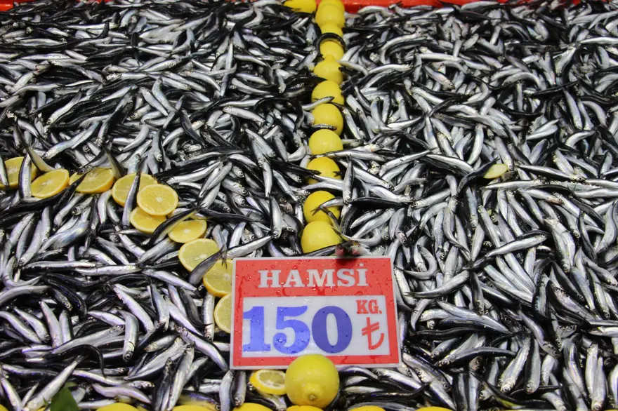 Fiyatı düştü, talep arttı: "Son 10 yıldır böylesi gelmedi" 5