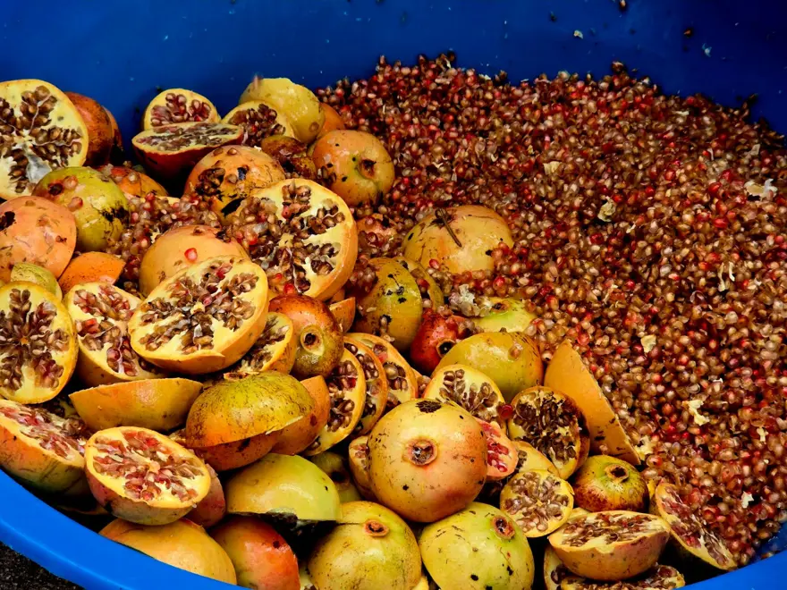 Sabah erken saatlerde bir araya geliyorlar: Mahalleliyi birleştiren imece geleneği 6 Sabah erken saatlerde bir araya geliyorlar: Mahalleliyi birleştiren imece geleneği 6