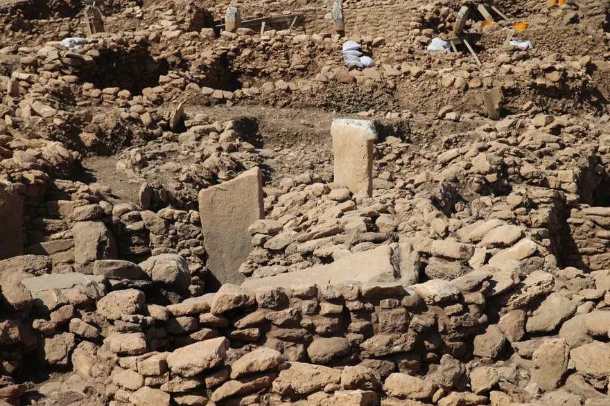 Neolitik döneme ışık tutacak! Taşta 11 bin yıllık eşek çizimi 13