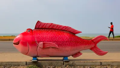 Gana'da ölüm ritüeli: Kişilikleri yansıtan fantastik tabutlar