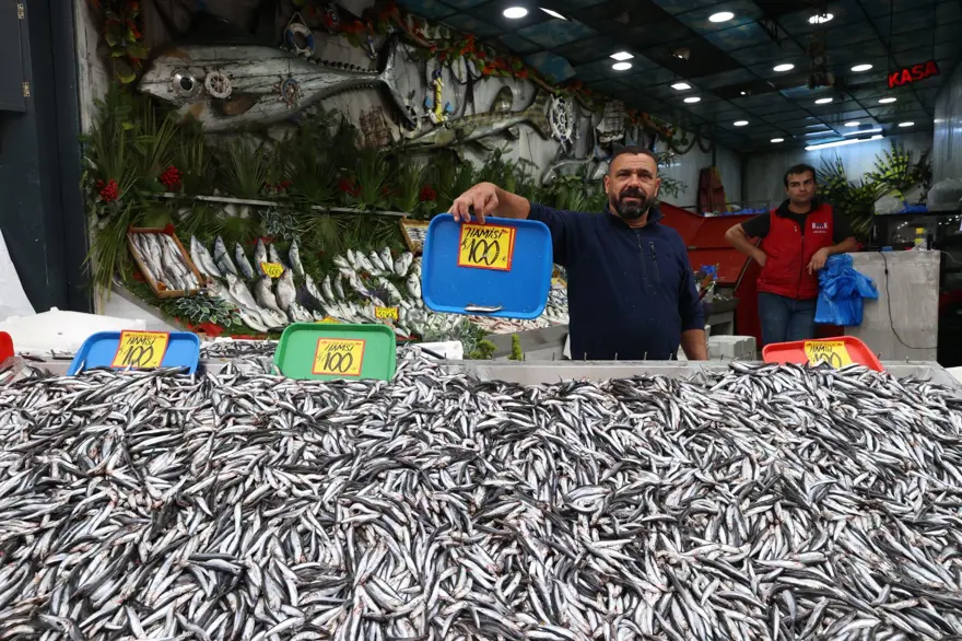 Tezgahta bollaştı, fiyatlar düştü: 100 liraya kadar geriledi 2