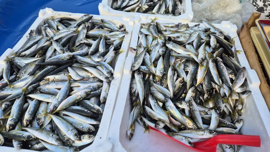 Seyyar tezgahlarda kilosu 150 liraya satılıyor: ''Haftada en az 3 kere yenilmesi lazım'' 1