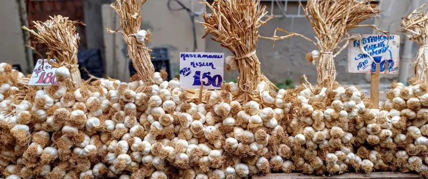 Aksaray'dan Almanya ve Rusya'ya gönderiliyor! İlaç sanayisinin gözbebeği, antibiyotiklerde bile kullanılıyor 2