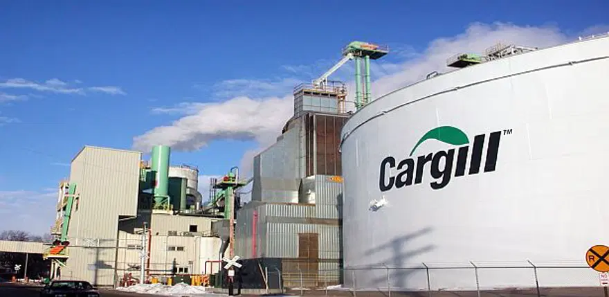 CARGILL: TÜRKİYE BÜYÜMESİNE DEVAM EDECEK 10 CARGILL: TÜRKİYE BÜYÜMESİNE DEVAM EDECEK 10