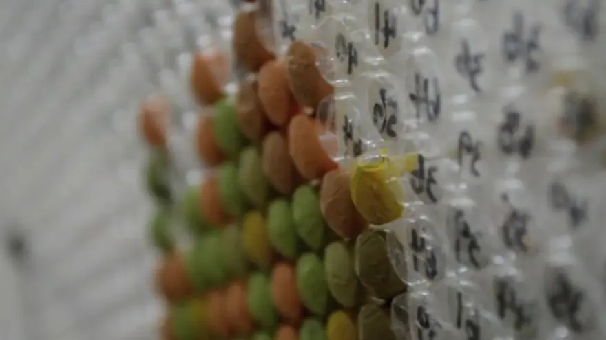 Naylon koruma ambalajından sanat eserine 1