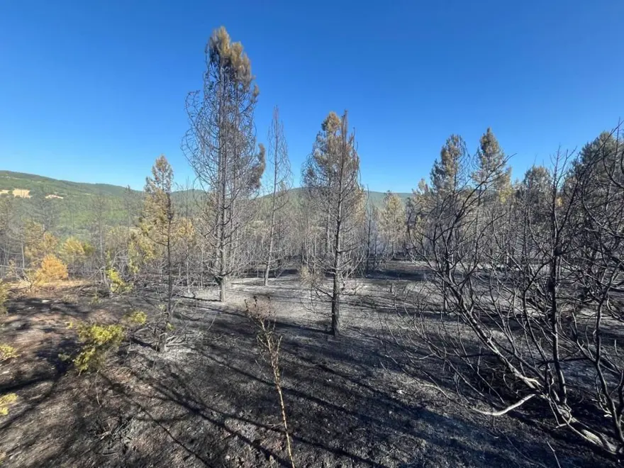 Kütahya’da orman yangını 3 Kütahya’da orman yangını 3