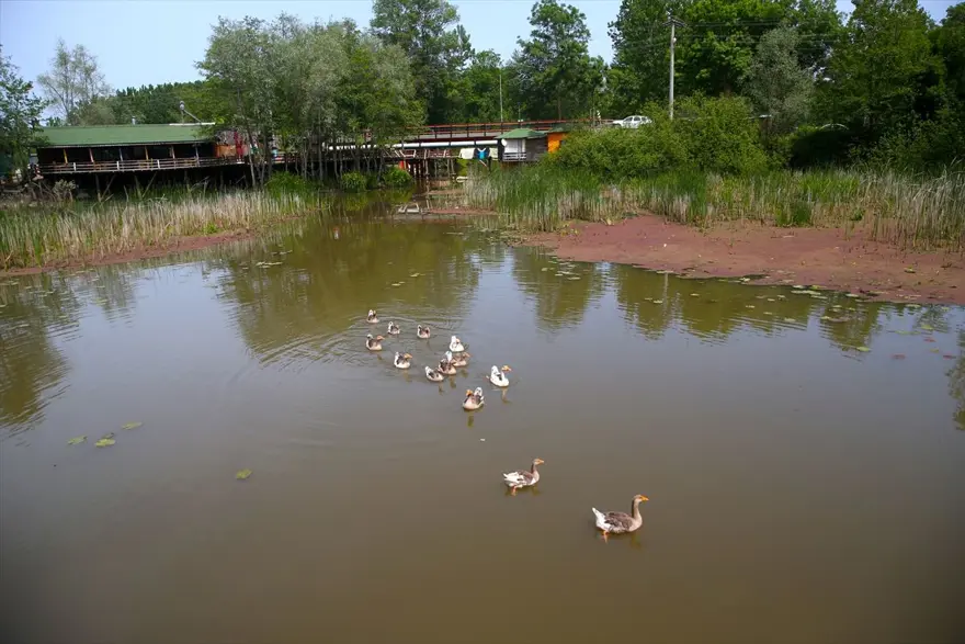 'İstanbul'un arka bahçesi' Sapanca salgın sürecinde de ilgi çekiyor 7