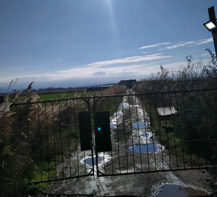 Balıkesir'deki suç şebekesi genç kızın ihbarıyla çökertildi 2