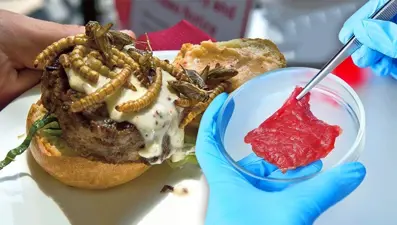 Böcek burgerden, laboratuvarda üretilen kahveye: 2030 yılına kadar menülerde yerini alacak lezzetler