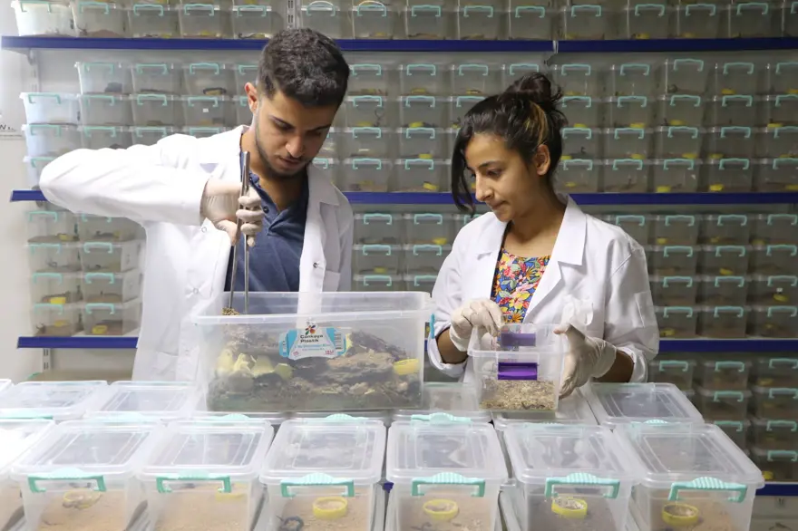 ''DÜNYANIN EN PAHALI SIVISI AKREP ZEHRİDİR'' 7 ''DÜNYANIN EN PAHALI SIVISI AKREP ZEHRİDİR'' 7