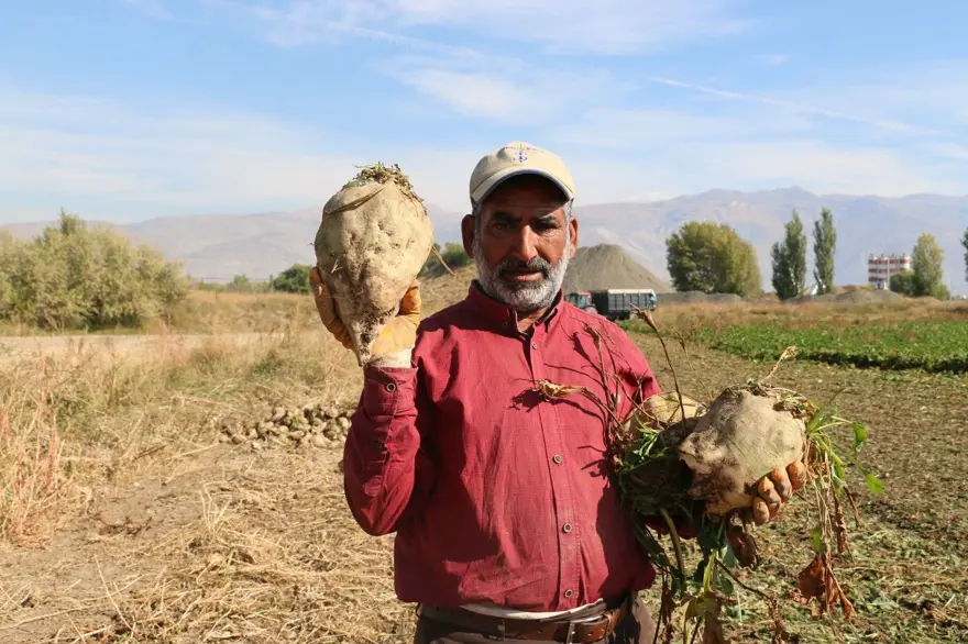 Hasat tüm hızıyla sürüyor: 1 milyar TL boyutunda ekonomik döngü ortaya koyuyor 1