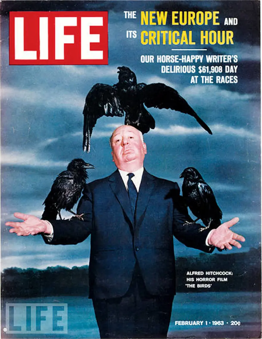 Alfred Hitchcock 8