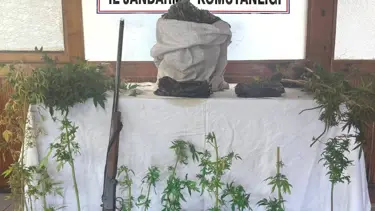 Uyuşturucu üreten şüpheli yakalanıp tutuklandı